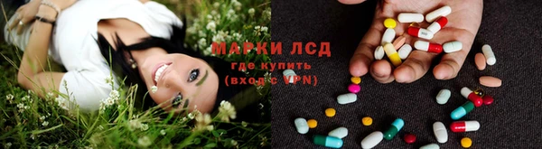 шишки Богородицк