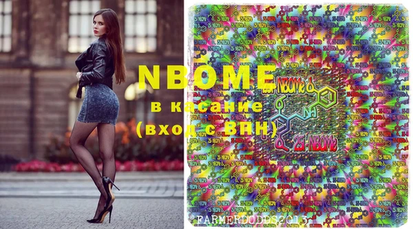 шишки Богородицк
