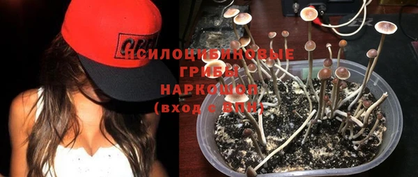 шишки Богородицк