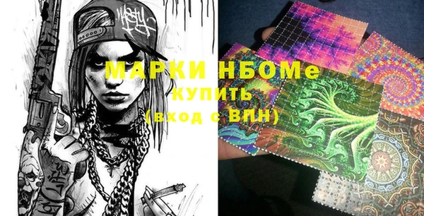шишки Богородицк